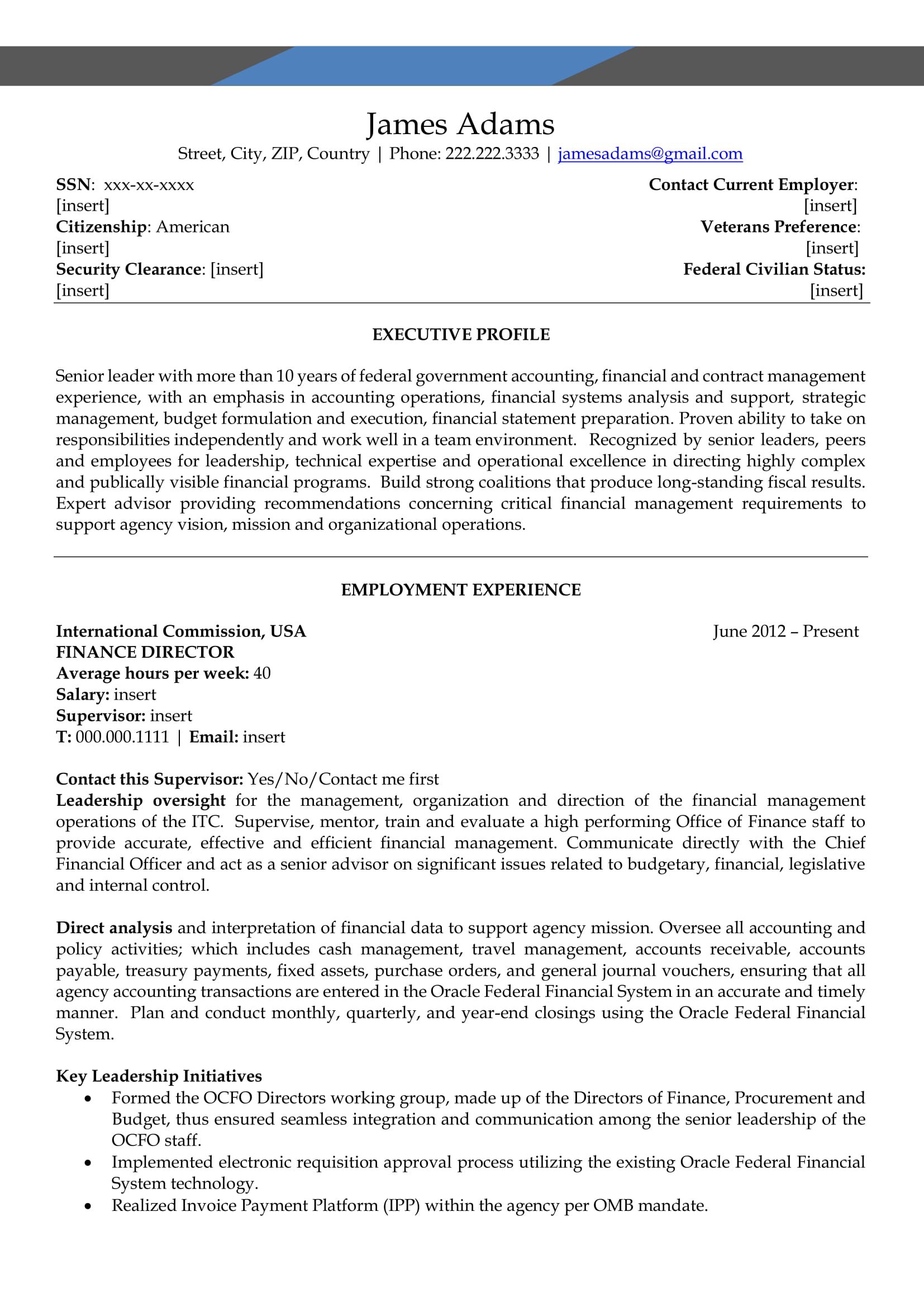 Professional resume sample